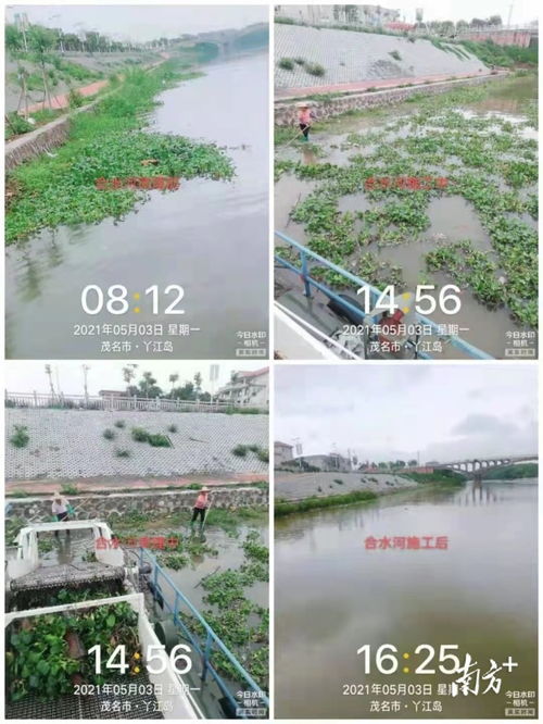 茂南水務(wù)局多措并舉，筑牢水污染防治監(jiān)管防線