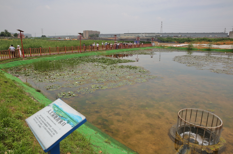 市人大常委會(huì)開展水污染防治“一法兩條例”執(zhí)法檢查_日照市水污染治理