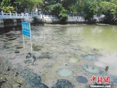 力度升級(jí)！生態(tài)環(huán)境部出“狠招”治理水污染